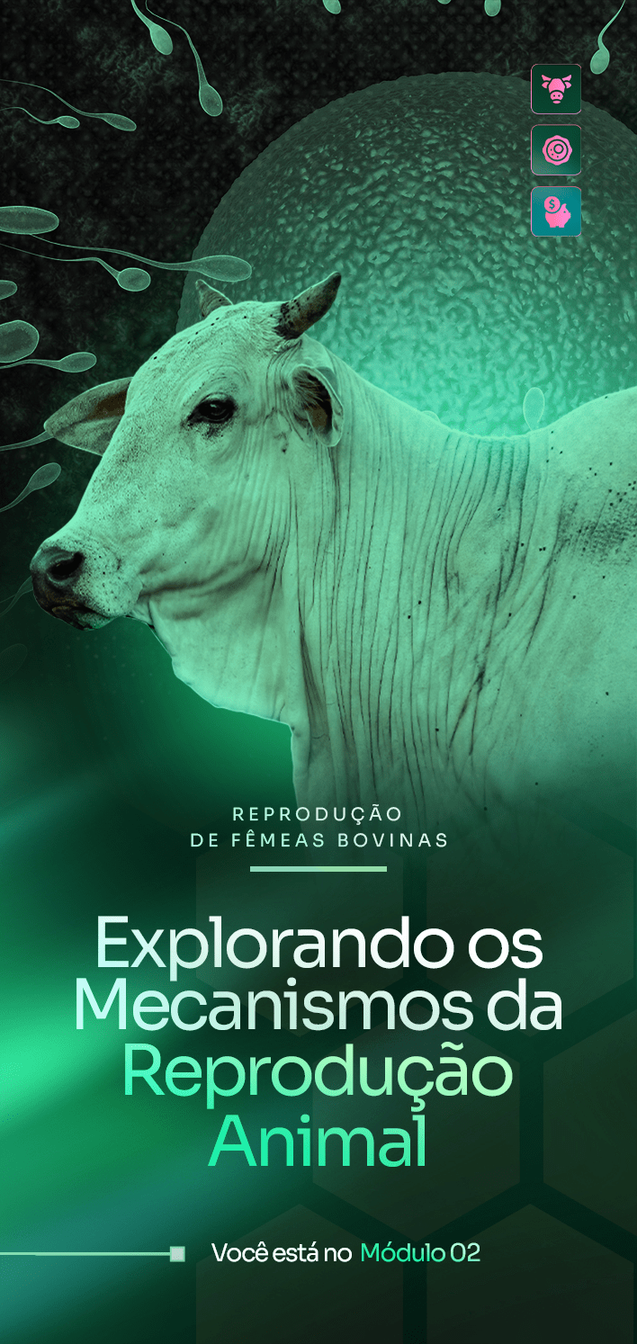 Módulo 02