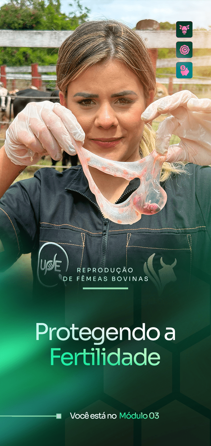 Módulo 03