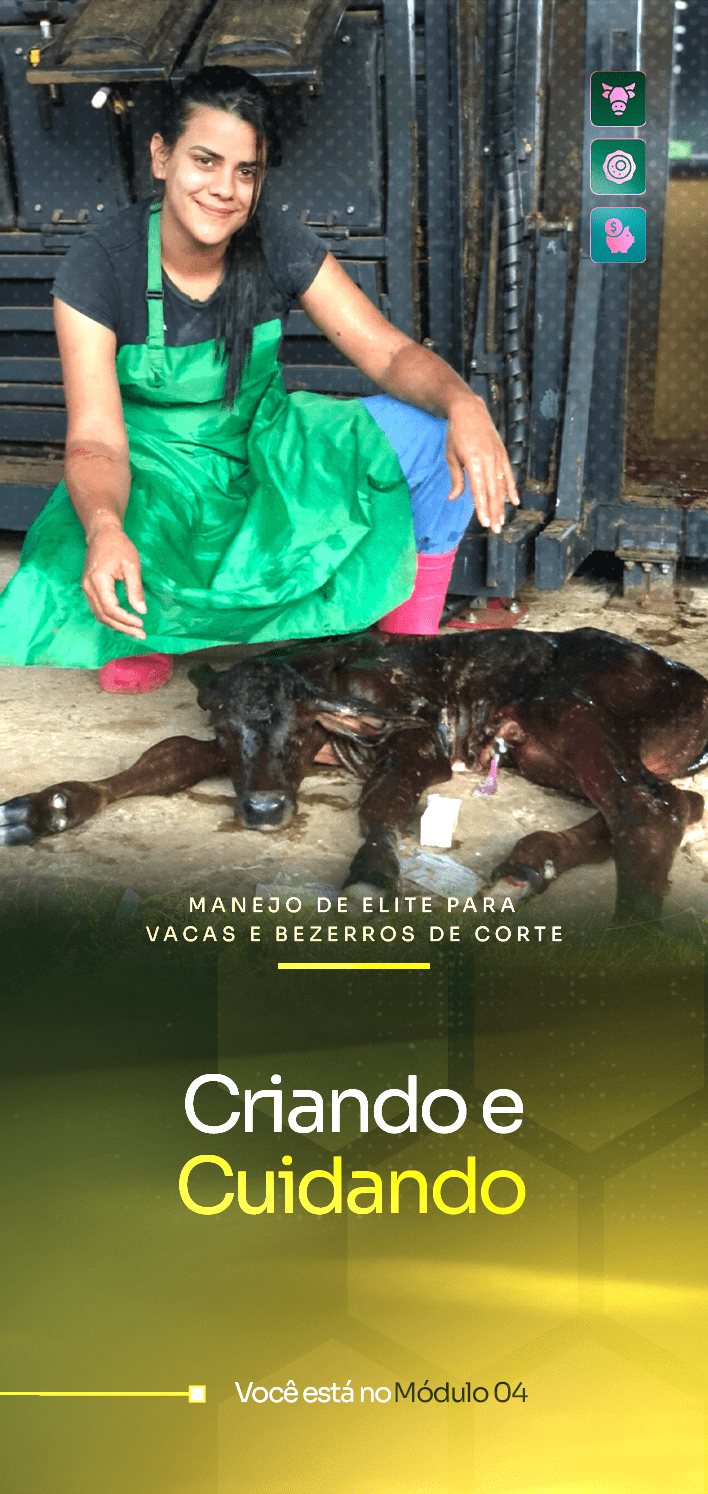 Módulo 04-1