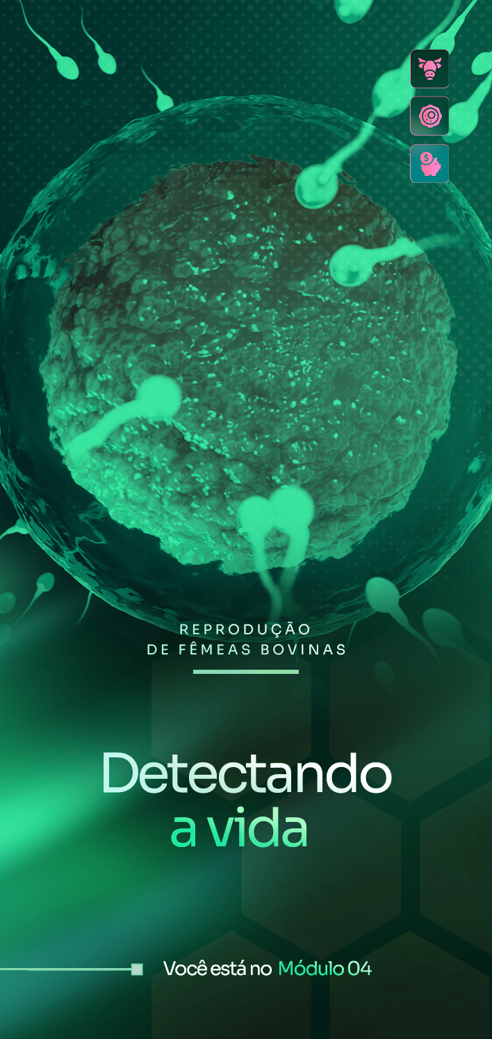 Módulo 04
